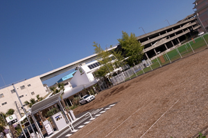 100917 1 RIMG2899.jpg